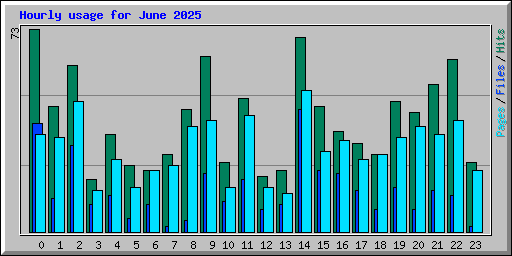 Hourly usage for June 2025