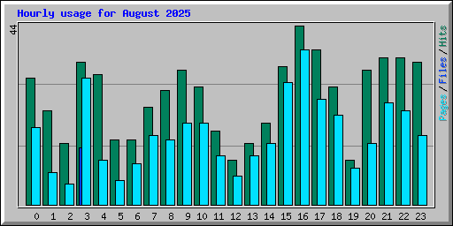 Hourly usage for August 2025