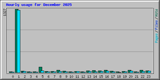 Hourly usage for December 2025