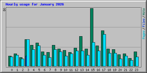 Hourly usage for January 2026